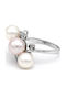 Margaritari Damen Ring mit Perlen aus Weißgold 18K
