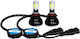 Car Xenon Kit H8 CAN Bus 40W 12V 6000K Cold White