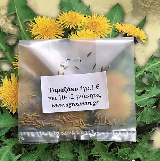Agrosmart Seeds Taraxacum Agrosmart Seeds Taraxacum