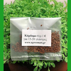 Agrosmart Σπόροι Κάρδαμου Agrosmart Σπόροι Κάρδαμου