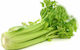 Gemma Seeds Celery Apium Graveolens 4gr