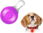 Pet Dog ID Tag Circular with Light Purple