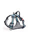 Animal Hundegeschirr Weste Blau X-Large 57914644
