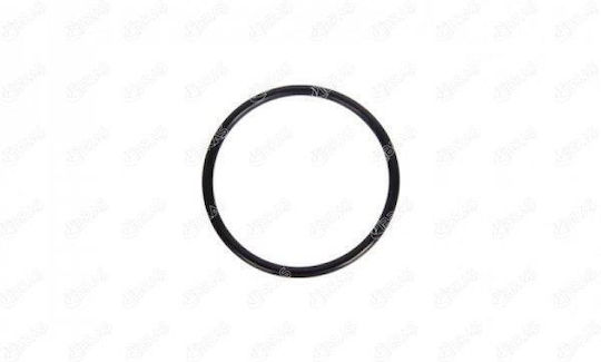 Ibras Oil Seals Car Renault Kangoo / Laguna Nissan Primastar 1pcs
