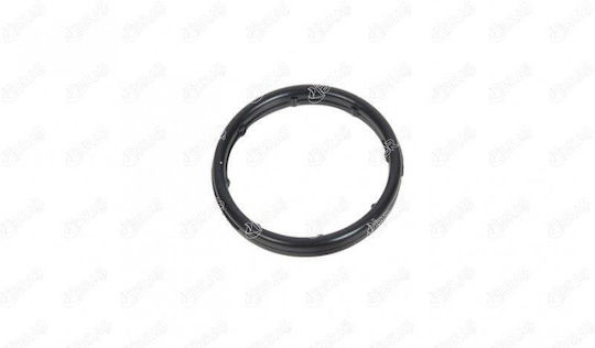 Ibras Oil Seals Car Opel Astra / Corsa / Insignia Honda e 1pcs