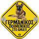 Koupakoupa Stickers for Car Windshield 1pcs