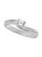 Single Stone from White Gold 14K