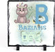 Baby Diary for Boy