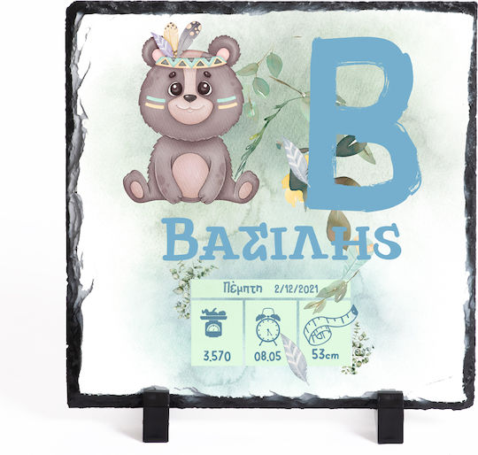 Baby Diary for Boy