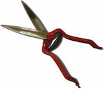 Pruning Shears