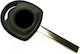 Car Key with Immobilizer