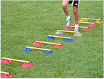 Agility Hurdles