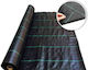 GEOY15 Ground Cover Fabric 100gr/m² 2x15m Black