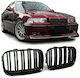 Dekorative Auto Maske BMW E36 / M4