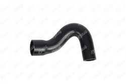 Ibras Car Radiator Hose