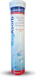 Lamberts Magasorb 300mg Lamberts Magasorb 300mg