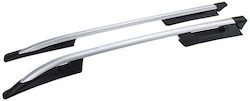 Can Auto (with Roof Rack Legs) Silver