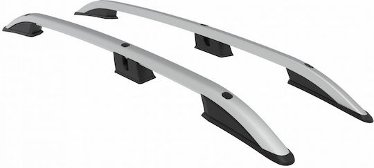 Turtle (with Roof Rack Legs) Silver