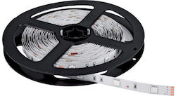 Horwood LED Strip 12V with Cold White Light 1m