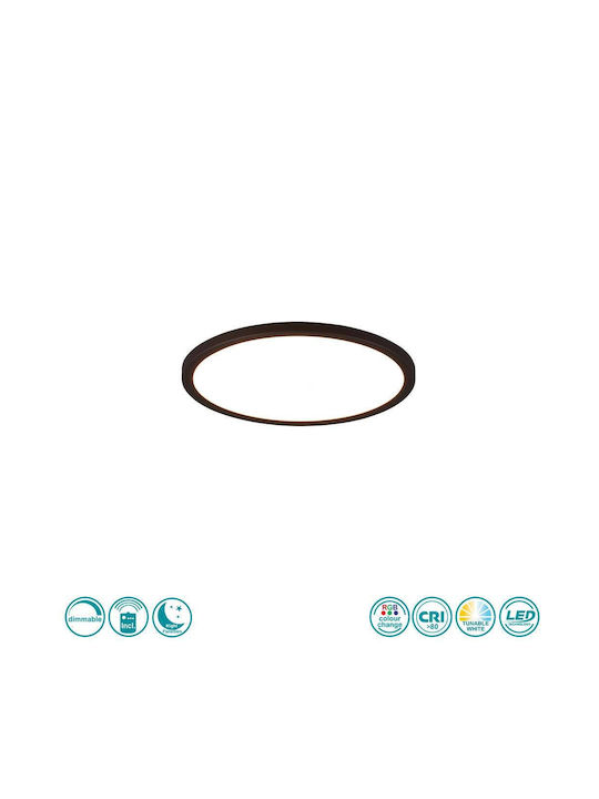 Trio Lighting Πλαφονιέρα Οροφής 29εκ. Μαύρη με ...