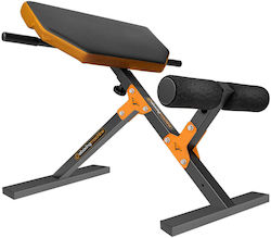 eBoxing Einstellbarer Trainingsbank für Unterleib und Dorsal