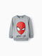 Zippy Kinder Sweatshirt Gray