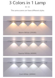 Foyu Lumini Sub-Cabinet LED Foyu Lumini Sub-Cabinet LED