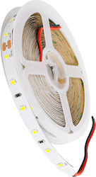 GloboStar LED Strip 24V Per Meter Inspired SMD2835