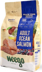Weego Adult Grain Free Ocean Salmon 2kg Dry Food Grain-Free for Adult Dogs with Salmon