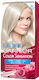 Garnier Color Sensation Hair Dye 10.1 Persimmon chantrelles 40ml