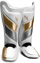 Hayabusa T3 Striking