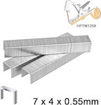 Ingco HPTM1258S Staples 10000pcs