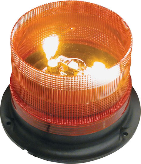 Carpoint Far Auto 12V cu Portocaliu Iluminare