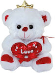 Dorosimo Plush Bear 45 cm