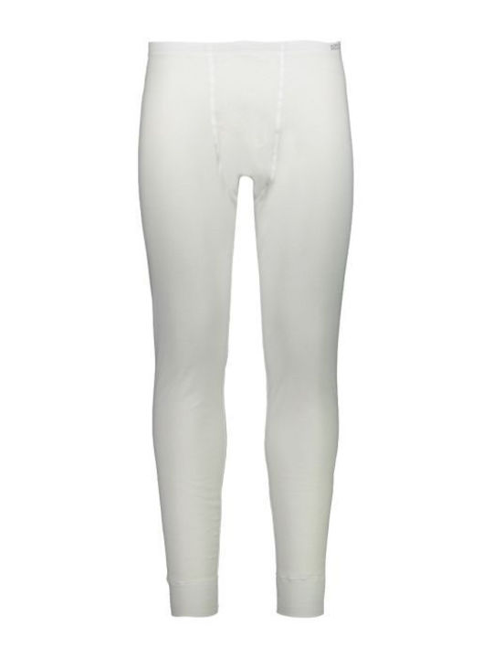 CMP White