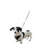 Kerbl Hundegeschirr Weste Schwarz 10mm x 30 80678
