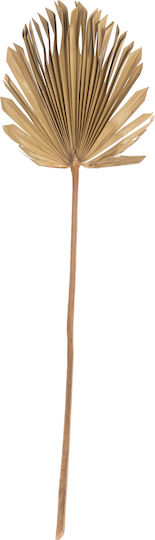 HomeMarkt Τοίχου 102x3x30cm