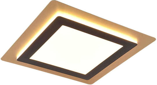 Trio Lighting Außen LED-Panels 46W 45x45 cm Trio Lighting Außen LED-Panels 46W 45x45 cm