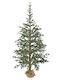 Weihnachtsbaum Angel Pine 240cm