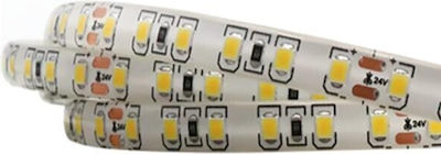 Eurolamp Bandă LED Alimentare 24V cu Lumină Alb Natural Lungime 5m