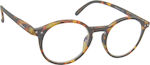 Oramont Acetate Blue Light Blocking Glasses Brown Tortoise