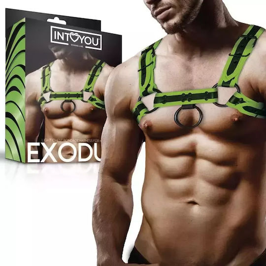 IntoYou Bondage Chest Grün