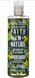 Faith in Nature Shampoos Deep Cleansing 400ml