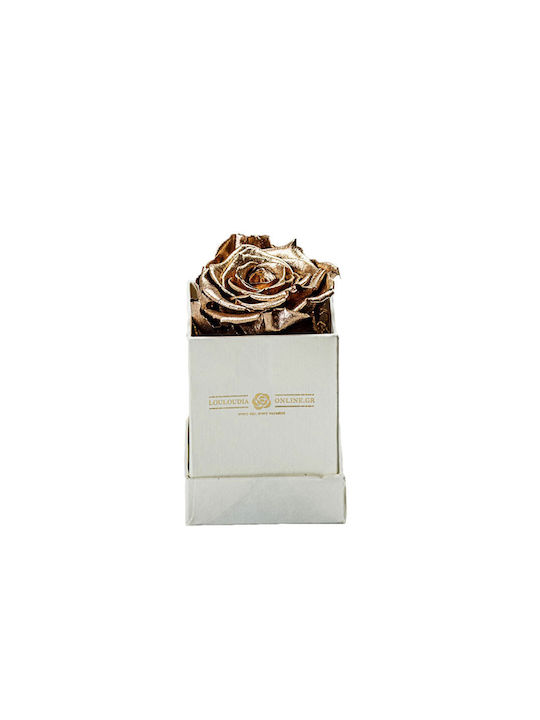 Eternal Rose Forever Gold 1pcs