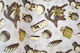 LiebeQueen Christmas Textiles 1cm