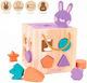 Milan Activity Cube made of Wood for 12++ Months