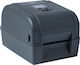 Brother Label Printer Thermal Transfer USB, Serial, Wi-Fi, Bluetooth, Ethernet 203 dpi dpi