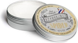 Beardburys Spider
