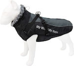 Gray Dog Coat with 71cm Back Length