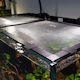Waterbox Aquariums Aquarium Accessories
